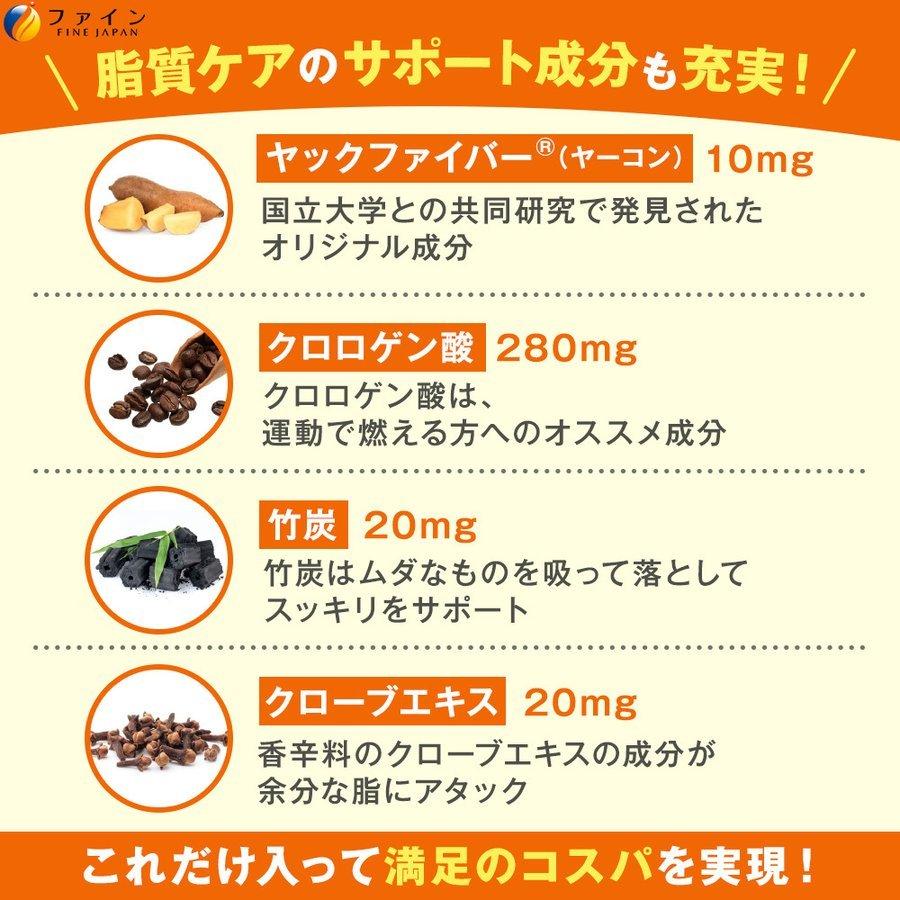 FINE JAPAN 8,553円相当 送料無料 カロリー気にならない 糖質専用 30日
