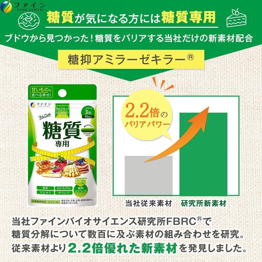 FINE JAPAN 8,553円相当 送料無料 カロリー気にならない 糖質専用 30日