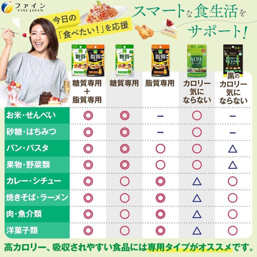 FINE JAPAN 8,553円相当 送料無料 カロリー気にならない 糖質専用 30日