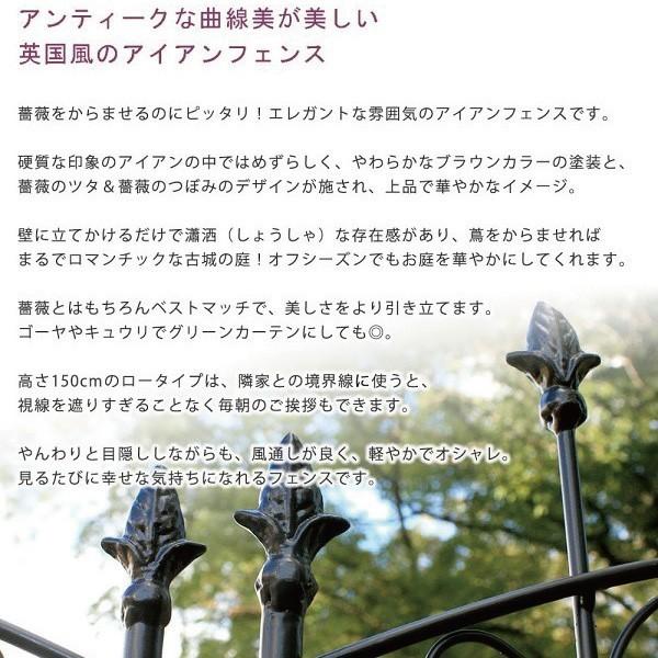 気質アップ アイアン ローズ フェンス 150 ロータイプ 2枚組 英国風 エレガント 仕切り 花壇 フラワー ガーデニング ガーデン テラス 庭 造園 菜園 送料無料 開店祝い Zoetalentsolutions Com