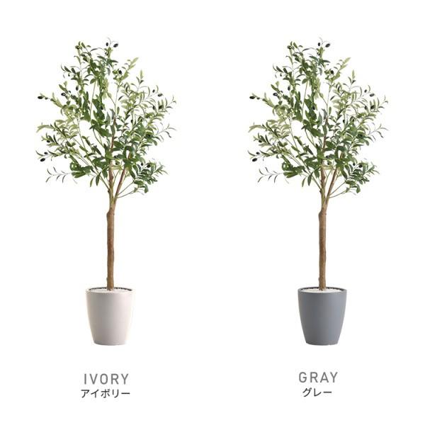 人工 観葉植物 オリーブ 高さ180cm Lサイズ フェイクグリーン 観賞用 造花 観葉 植物 室内 ガーデニング ガーデン グリーン リビング 玄関 インテリア 送料無料の画像