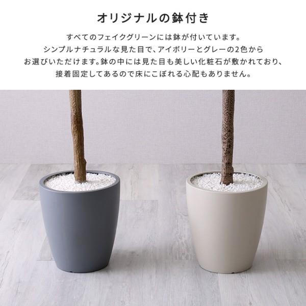 人工 観葉植物 オリーブ 高さ180cm Lサイズ フェイクグリーン 観賞用 造花 観葉 植物 室内 ガーデニング ガーデン グリーン リビング 玄関 インテリア 送料無料の画像