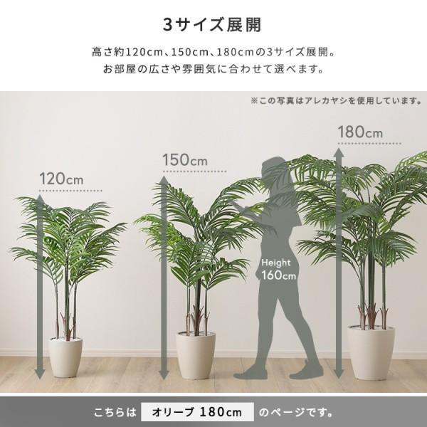 人工 観葉植物 オリーブ 高さ180cm Lサイズ フェイクグリーン 観賞用 造花 観葉 植物 室内 ガーデニング ガーデン グリーン リビング 玄関 インテリア 送料無料の画像
