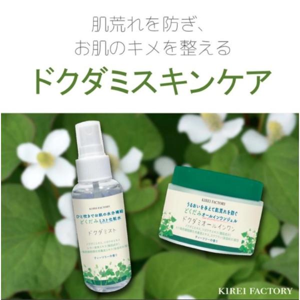キレイファクトリー ドクダミオールインワン KFDM-02 (ジェルクリーム