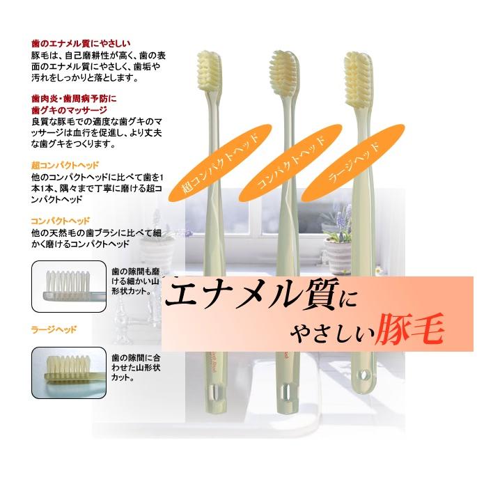 IKMT豚毛歯ブラシIKT-9233 コンパクトヘッド ふつう 3本セット 池本