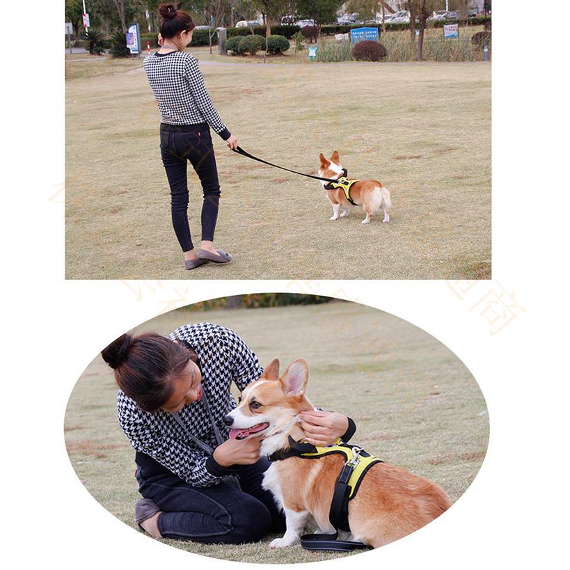 ハーネス リード 犬 セット ペット 胴輪 犬用 中型犬 小型犬 ファッションリード 蛙 ドッグ 新作入荷 新品 通気性 8の字ハーネス 牛 お散歩 外出 犬具 脱着簡単 かえる