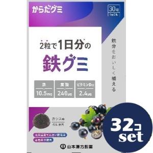 山本漢方製薬 「セット販売」「山本漢方製薬」鉄グミ (からだグミ) 30