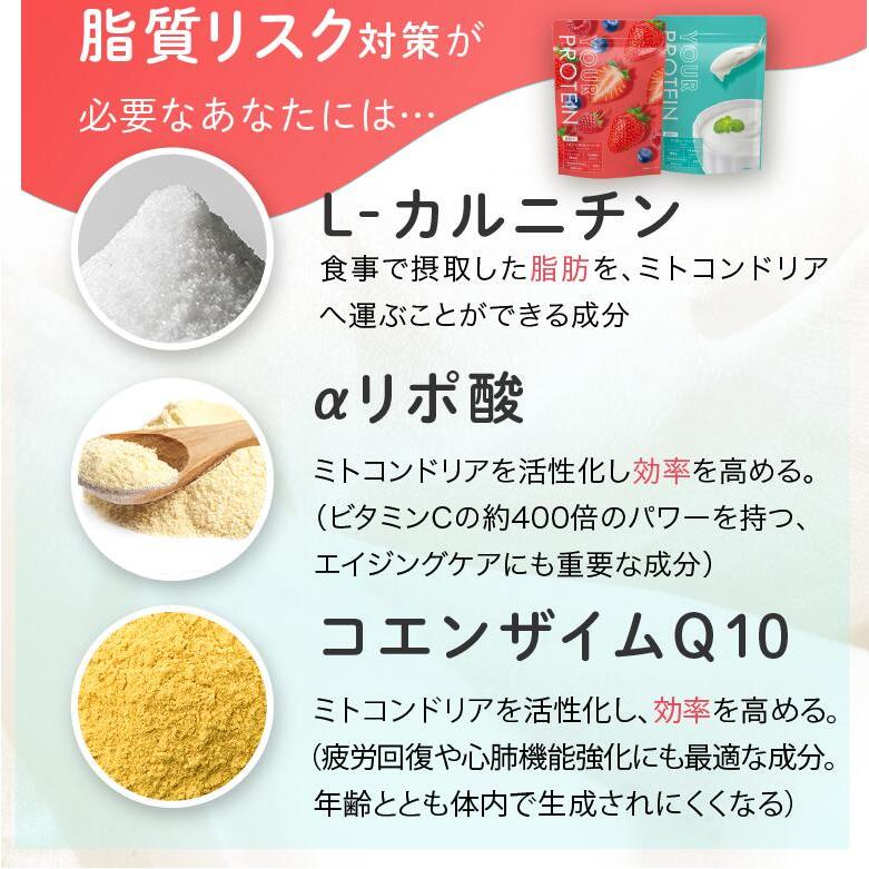 おいしいダイエットプロテイン「YOUR PROTEIN」無添加 国産 ホエイ