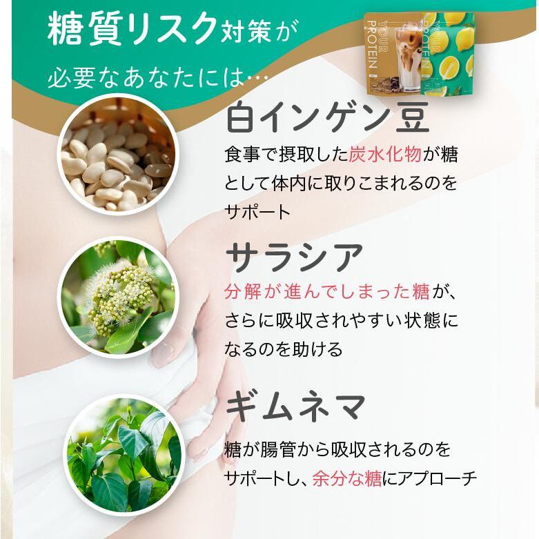 【1万引き】ダイエット 酵素 プロテイン60食分 おいしいダイエットプロテイン「YOUR PROTEIN」無添加 国産 ホエイ
