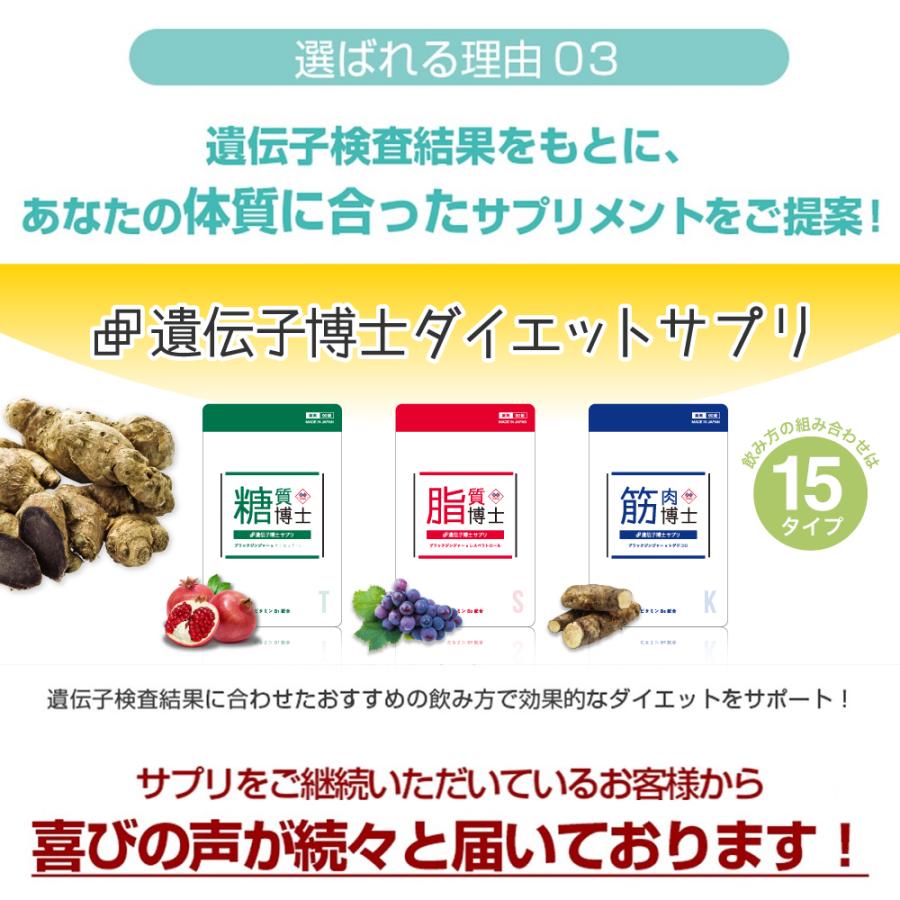 DNAダイエットプラン レポートブック付き＞【プレミアムアドバイスコース】ダイエット