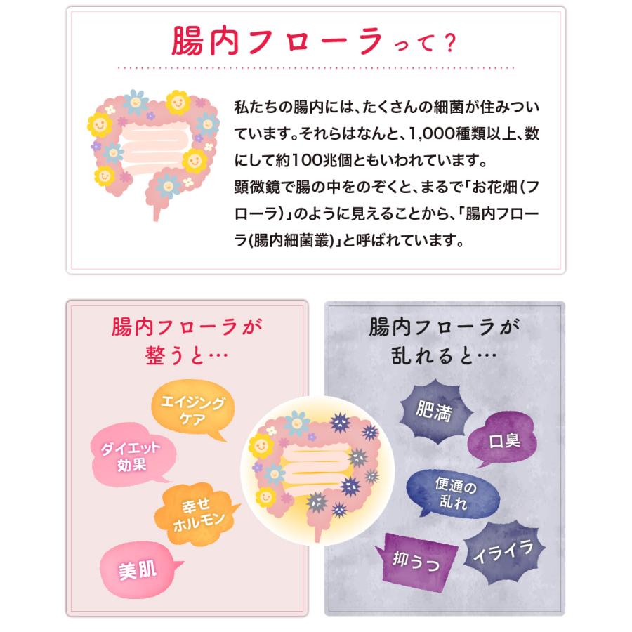 腸内フローラ検査キッド 腸内フローラ検査キット【腸内博士】ビューティー〜エクオールプラス
