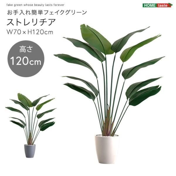 人工 観葉植物 ストレリチア 高さ120cm Sサイズ フェイクグリーン 観賞用 造花 植物 室内 ガーデニング グリーン ガーデン リビング 玄関 インテリア 送料無料_3