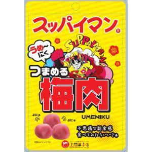 クリート」スッパイマンつまめる梅肉 20g 10個セット : 薬のファインズ