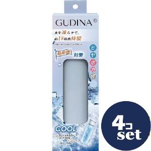 専用出品　青空様　5kg セット販売」「青山通商」グディナ 冷温2WAY携帯スティック Мサイズ
