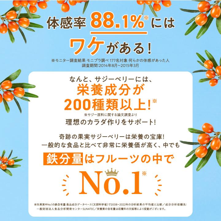フィネス(ダイエット、健康) 豊潤サジー 900ml サジージュース フィネス(ダイエット、健康) 豊潤サジー 900ml サジージュース
