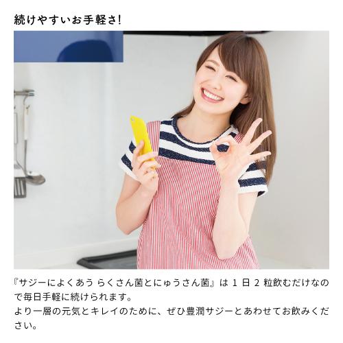 pomさま　フィネス 豊潤サジー　✖️ 3本　らくさん菌とにゅうさん菌2袋 豊潤サジー3本+らくさん菌とにゅうさん菌2袋 サジーの