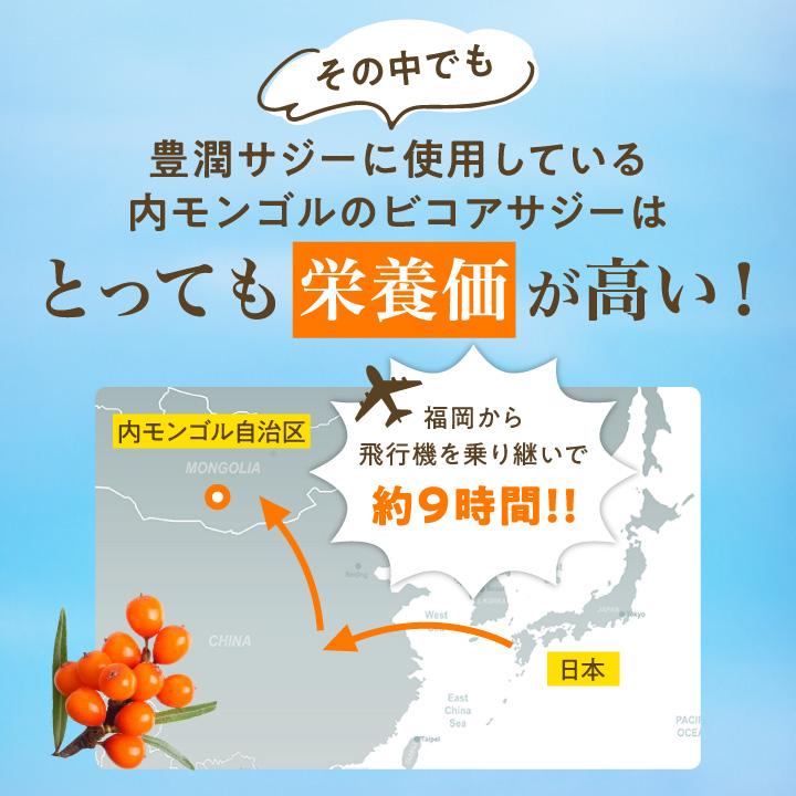 フィネス 豊潤サジー 500ml サジージュース 紙パックタイプ 公式 200