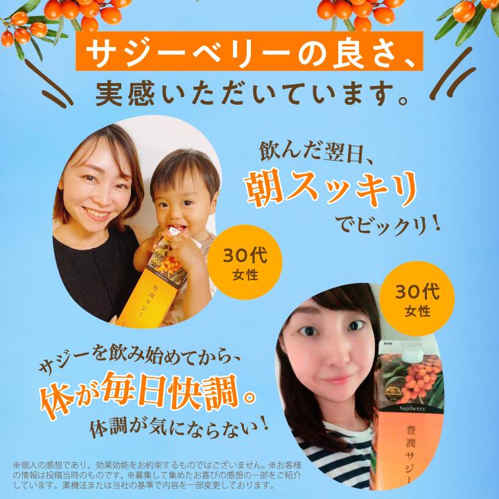 フィネス 豊潤サジー 500ml サジージュース 紙パックタイプ 公式 200