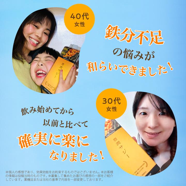 フィネス 豊潤サジー 500ml サジージュース 紙パックタイプ 公式 200