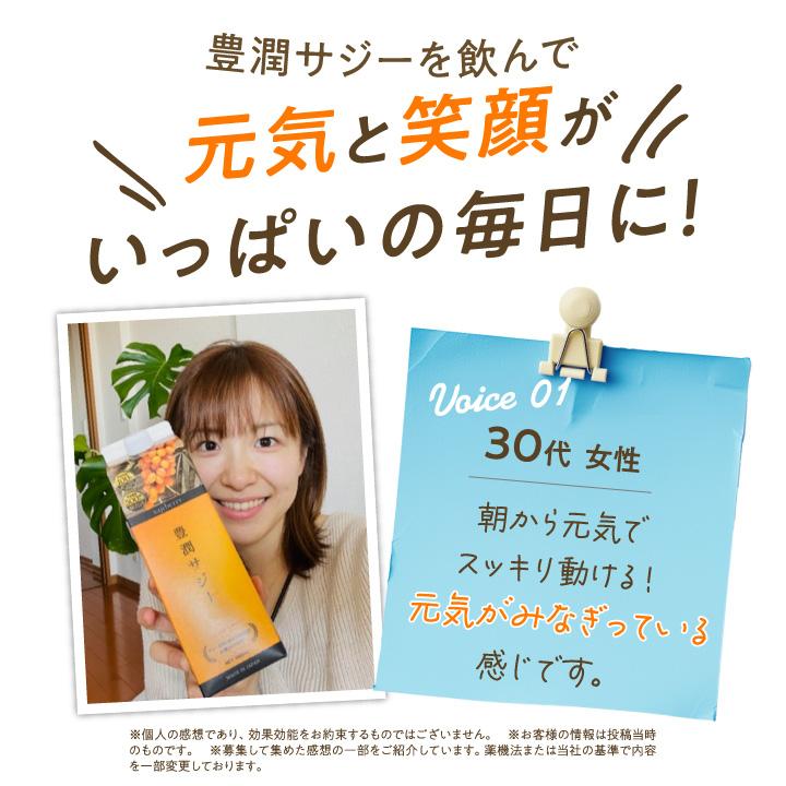 フィネス(ダイエット、健康) 豊潤サジー 500ml サジージュース フィネス(ダイエット、健康) 豊潤サジー 500ml サジージュース