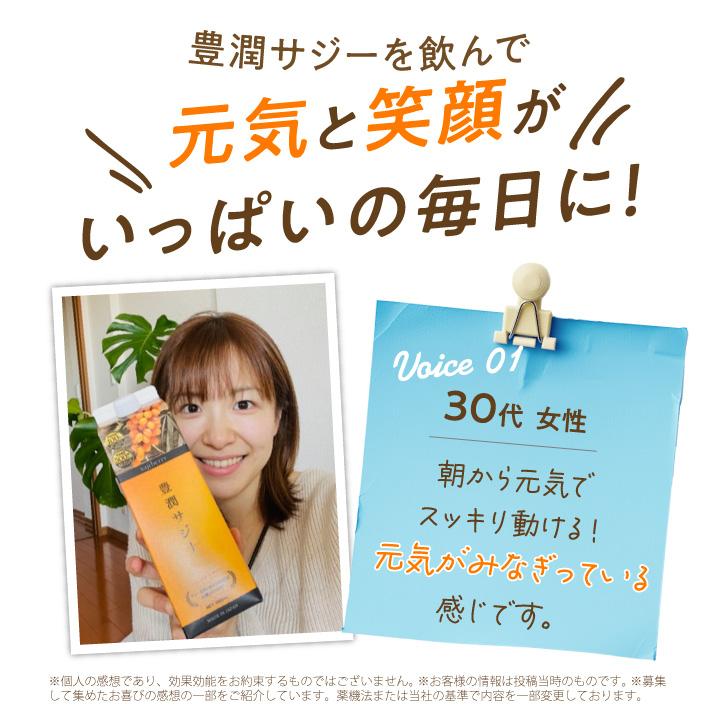 フィネス 豊潤サジー 500ml サジージュース 紙パックタイプ 公式 200
