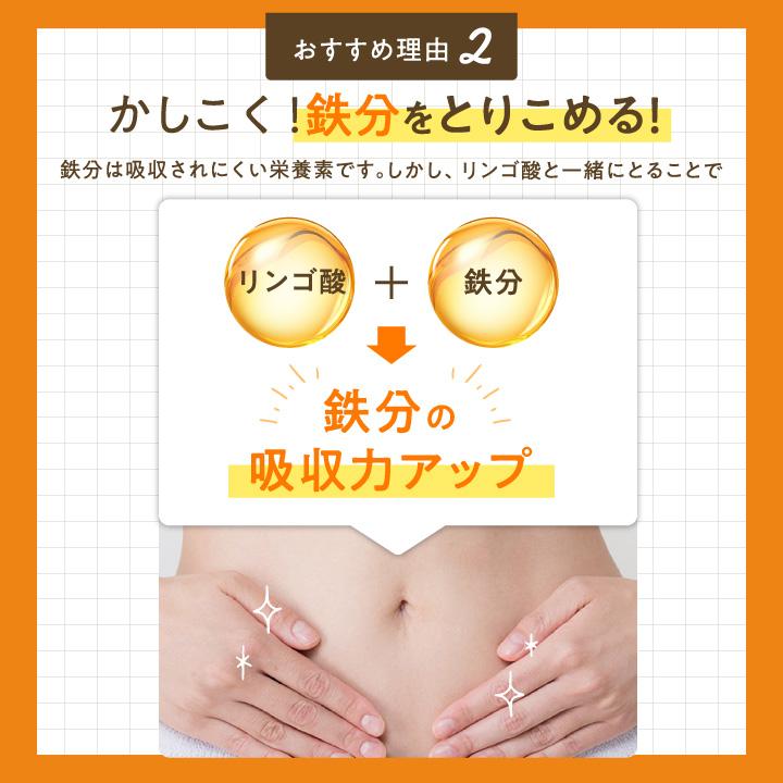 フィネス(ダイエット、健康) 豊潤サジー 1000ml サジー フィネス(ダイエット、健康) 豊潤サジー 1000ml サジー