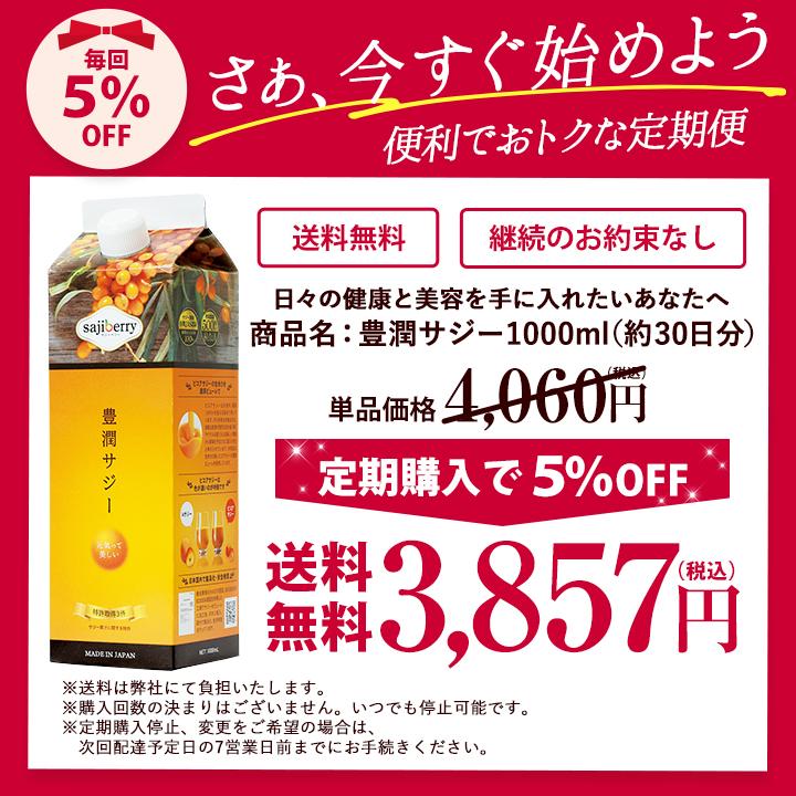 　【定価1万円近く】未開封２つ　フィネス　豊潤サジー サジーのフィネス | 豊潤サジー通販 | サジーベリー通販