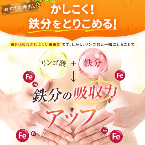豊潤サジー 1000ml サジージュース 紙パックタイプ 公式 フィネス 200種類以上の栄養素が含まれたドリンク ジュース 鉄分 ビタミンC ...