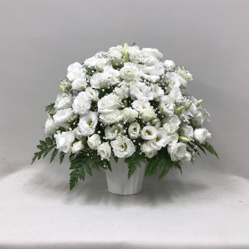 大注目 東京発日本橋デザインお供え トルコキキョウとカスミソウのアレンジ H50 安い購入 Alburhan In