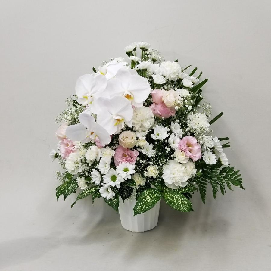 お供え お悔やみ お盆 法要 一周忌 四十九日 供花 即日 送料無料 アレンジメント 白 ピンク 東京発 日本橋 デザイン 胡蝶蘭 カーネーション アレンジ(H60)の画像