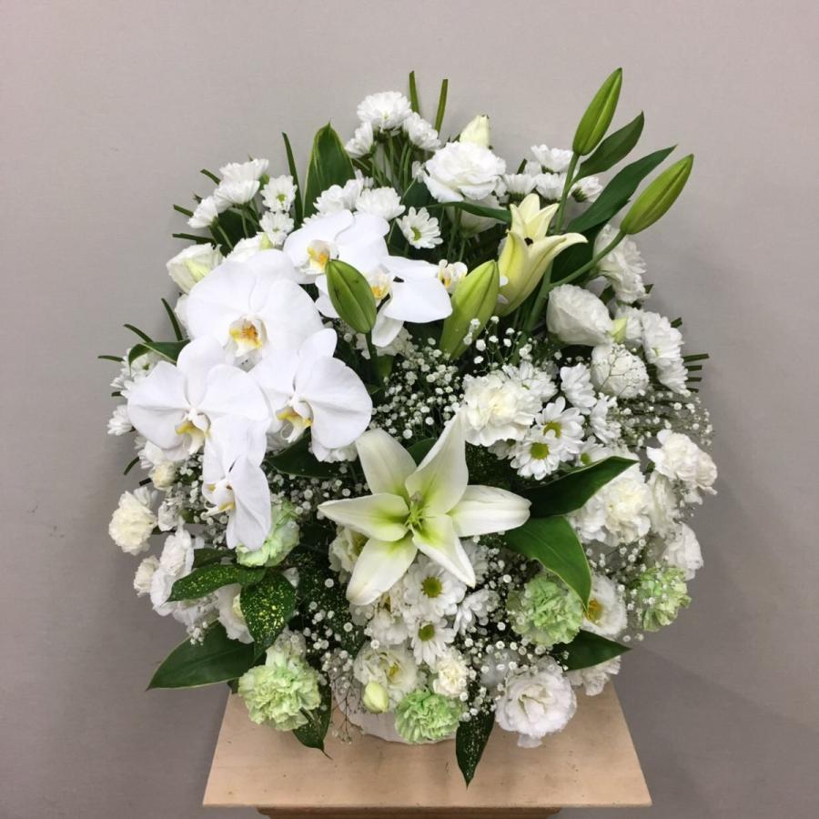 お供え お悔やみ お盆 法要 一周忌 四十九日 供花 即日 送料無料 アレンジメント 白 グリーン 東京発 日本橋 デザイン 胡蝶蘭 アレンジメント(H65) お供え アレンジメント(H65) X1059052300(10395円)