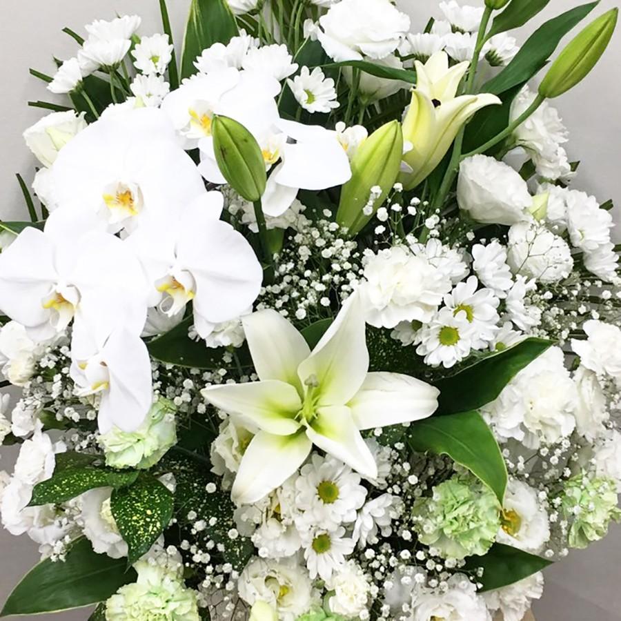 お供え お悔やみ お盆 法要 一周忌 四十九日 供花 即日 送料無料 アレンジメント 白 グリーン 東京発 日本橋 デザイン 胡蝶蘭 アレンジメント(H65) お供え アレンジメント(H65) X1059052300(10395円)