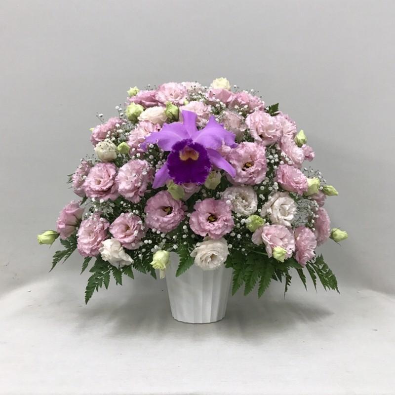 楽天 東京発日本橋デザインお供え カトレアとpトルコキキョウのアレンジ H50 新着商品 Drogariavirginia Com Br