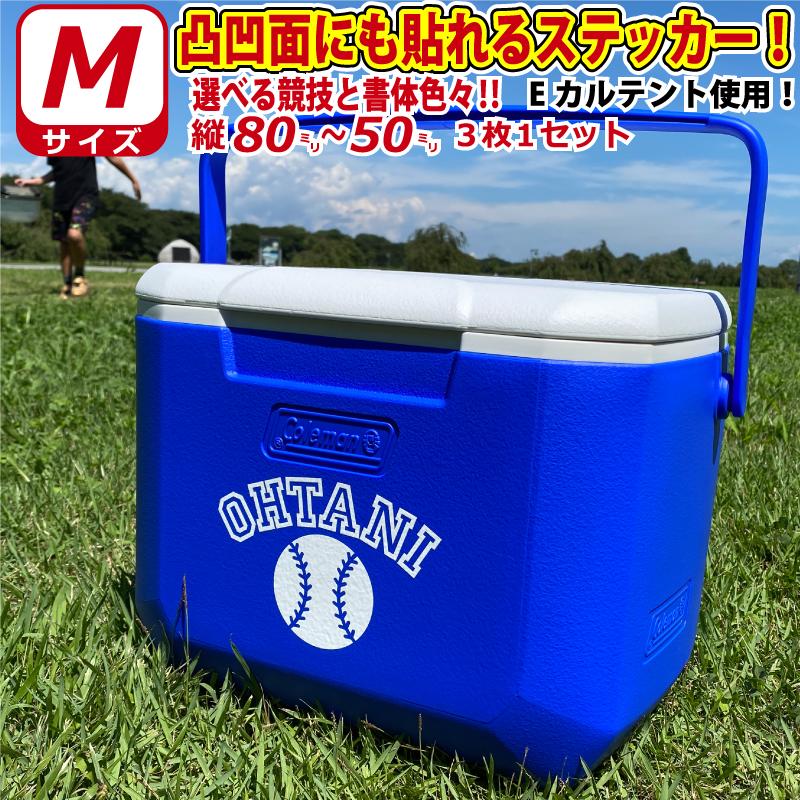 W1344.ポーラー ワールド ボックス入りステッカー 100枚 凸凹面なクーラーボックスにも貼れる！かっこいい! お好きな文字・競技