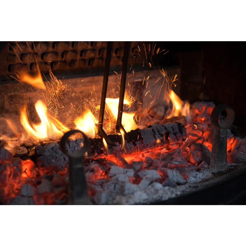 ファイヤーサイド ファイヤーバード 23643 |  | 12