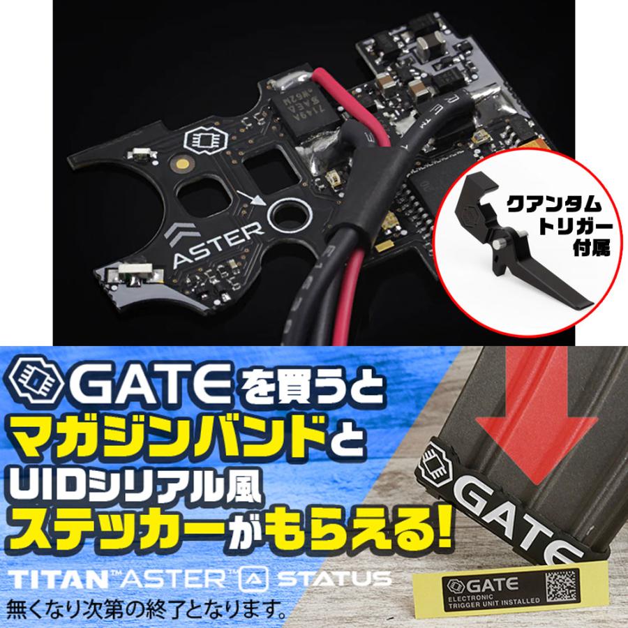 GATE ASTER SE Ver2 前方配線 GATE ASTER 2 Ver2メカボックス用 前方配線 Bluetooth Expert