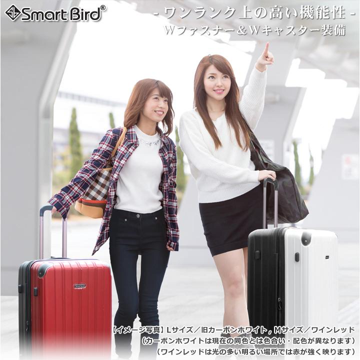 【訳あり】スーツケース Sサイズ Lサイズセット TSAロック ブラック プレゼントあり】スーツケース 3点セット Sサイズ Mサイズ L