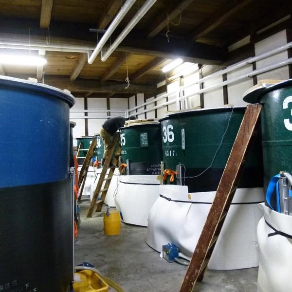 【テレビドラマ『ワカコ酒』で登場した大人気の日本酒！】　月山　芳醇辛口純米　五百万石/神の舞　精米歩合70％　1800ml(出雲月山) |  | 04