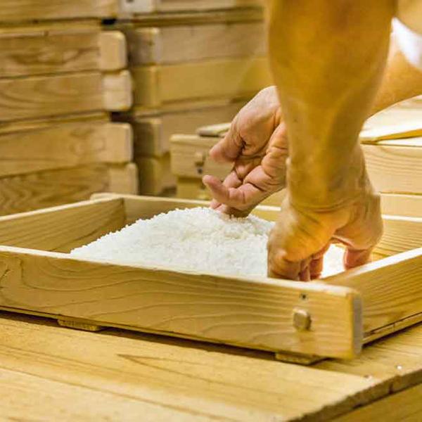 【限定入荷しました！】【新米で仕込んだ出来立てホヤホヤ搾りたて新酒！】　土佐鶴　しぼりたて新酒　上等酒　精米歩合70％　720ml(白ラベル) |  | 06