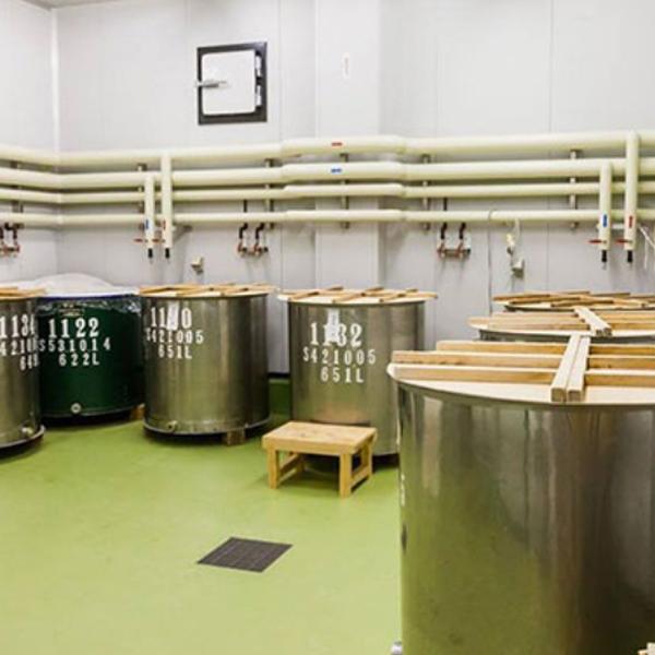 【限定入荷しました！】【新米で仕込んだ出来立てホヤホヤ搾りたて新酒！】　土佐鶴　しぼりたて新酒　上等酒　精米歩合70％　720ml(白ラベル) |  | 07