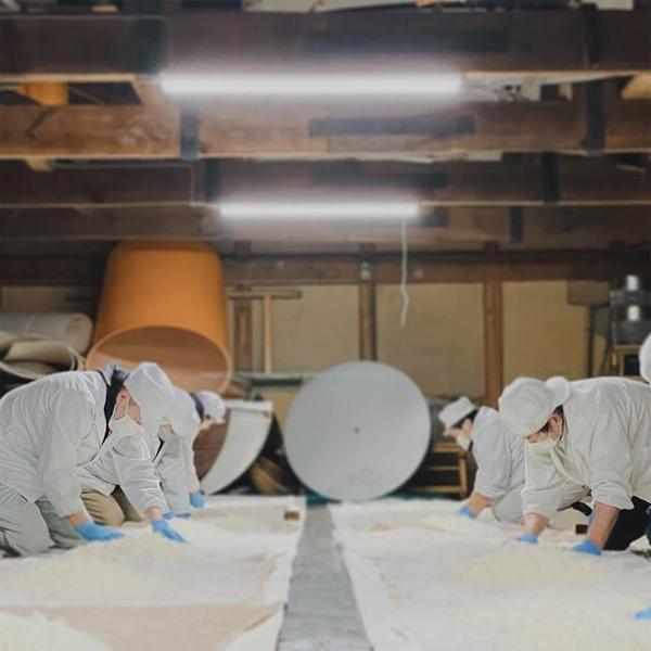 【柔らかく軽快な口当たりと果実のような香りのハーモニー！】　月山　純米大吟醸　美月　原酒　精米歩合50％　13度　1800ml(出雲月山)(純米大吟醸) |  | 03