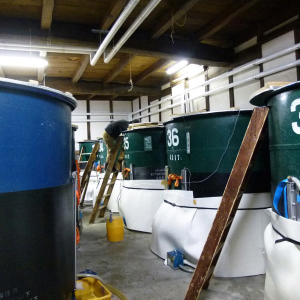 【柔らかく軽快な口当たりと果実のような香りのハーモニー！】　月山　純米大吟醸　美月　原酒　精米歩合50％　13度　1800ml(出雲月山)(純米大吟醸) |  | 08