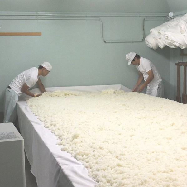 【限定入荷しました！】【コスパ最高！スタッフ全員が試飲して驚いた！】　越の寒中梅　純米大吟醸　新潟県産米100％使用　精米歩合50％　1800ml | 新潟銘醸 | 03