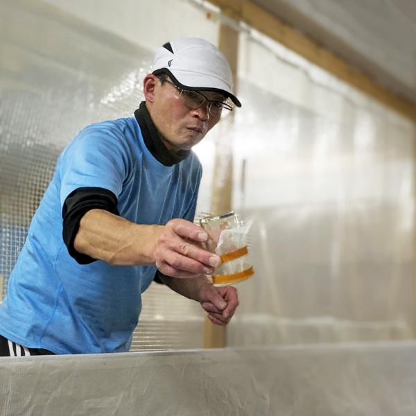 【香り・味わい・余韻が絶妙に調和したリピートしたくなる純米吟醸酒！】　桜うづまき　風早(かざはや)　純米吟醸　720ml | 桜うづまき酒造 | 07