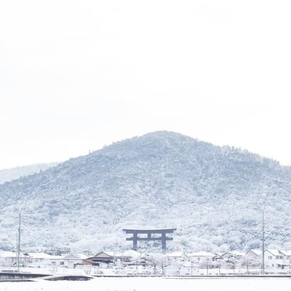 【送料無料！】【日本最古の神社の湧き水で仕込む激旨酒！】　みむろ杉　特別純米　辛口　露葉風100％　1800ml×2本(クール便推奨)(北海道・沖縄は送料+990円) |  | 02