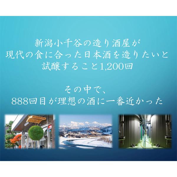 【送料無料！】【試験を重ね理想の味になったのが888回目】　N-888　純米大吟醸　プレミアム　精米歩合50％　720ml×2本セット(北海道・沖縄は送料+990円) | 新潟銘醸 | 03