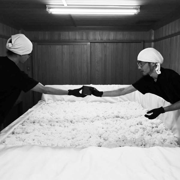 【超大人気！季節限定！写楽の新酒・生酒！】　冩樂(写楽・しゃらく)　純米吟醸　初しぼり　生酒　五百万石　精米歩合50％　1800ml(クール便推奨) |  | 04