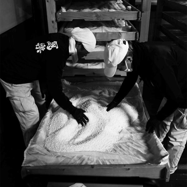 【超大人気！季節限定！写楽の無濾過・生酒！】　冩樂(写楽・しゃらく)　純米酒　無濾過生　生酒　夢の香　精米歩合60％　1800ml(クール便推奨) |  | 03