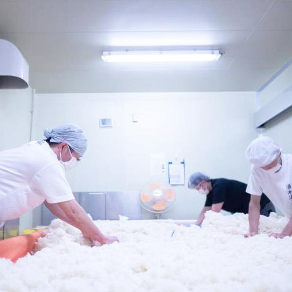 【大人気！甘く爽やかでバランスのよいライチのような香り！】　作(ZAKU・ざく)　穂乃智(ほのとも)　純米酒　精米歩合60％　1800ml |  | 01