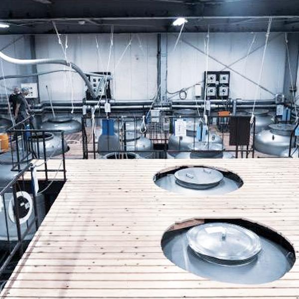 【大人気！甘く爽やかでバランスのよいライチのような香り！】　作(ZAKU・ざく)　穂乃智(ほのとも)　純米酒　精米歩合60％　1800ml |  | 04